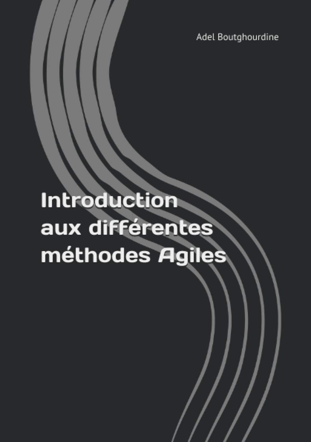 Introduction aux différentes méthodes Agiles (Se Former Agile, Band 2) Learning & Reference