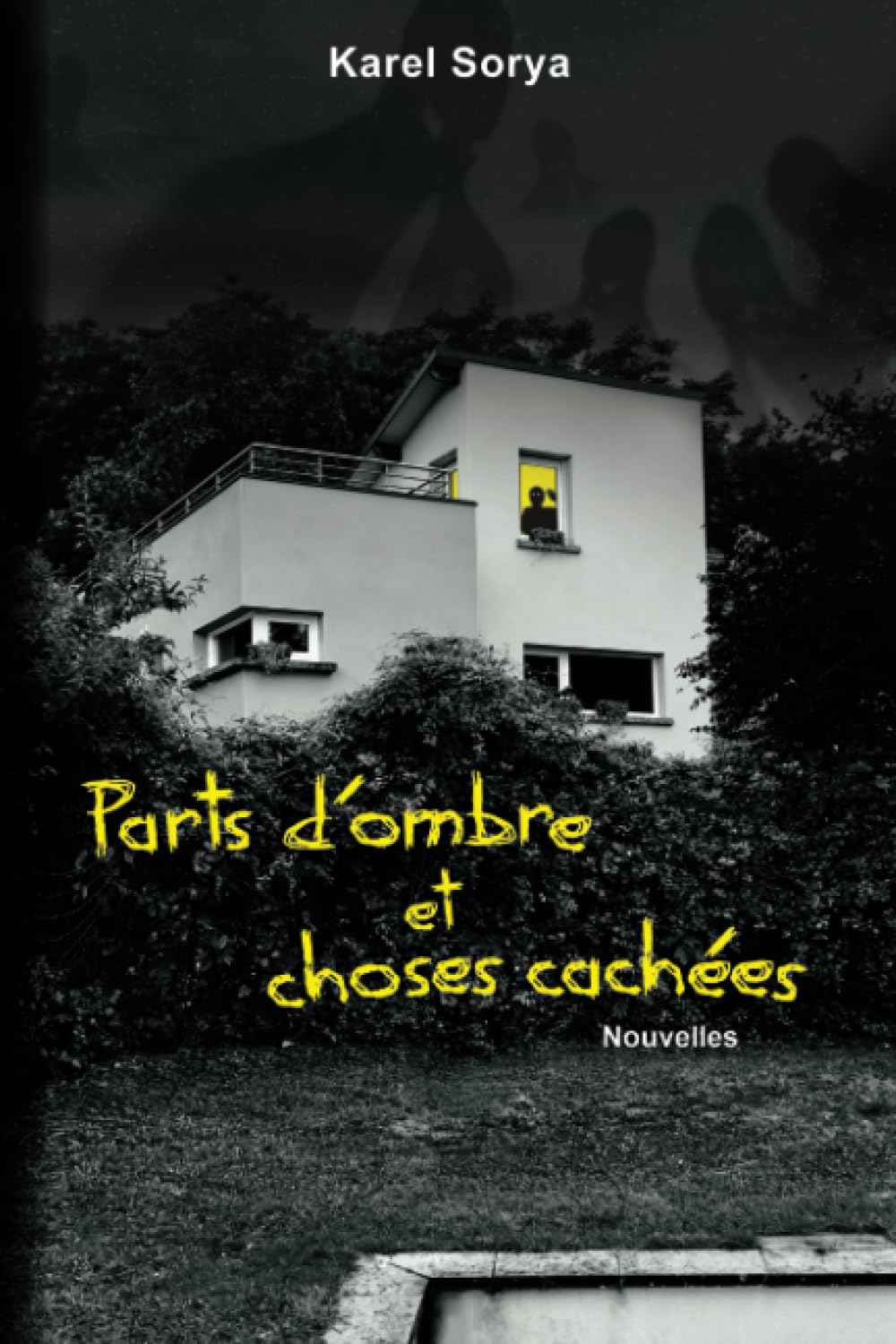 Parts d'ombre et choses cachées: Nouvelles book