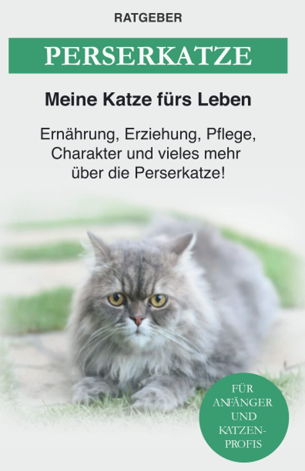 Perserkatze: Ernährung, Erziehung, Pflege, Charakter und vieles mehr über die Perserkatze Pets