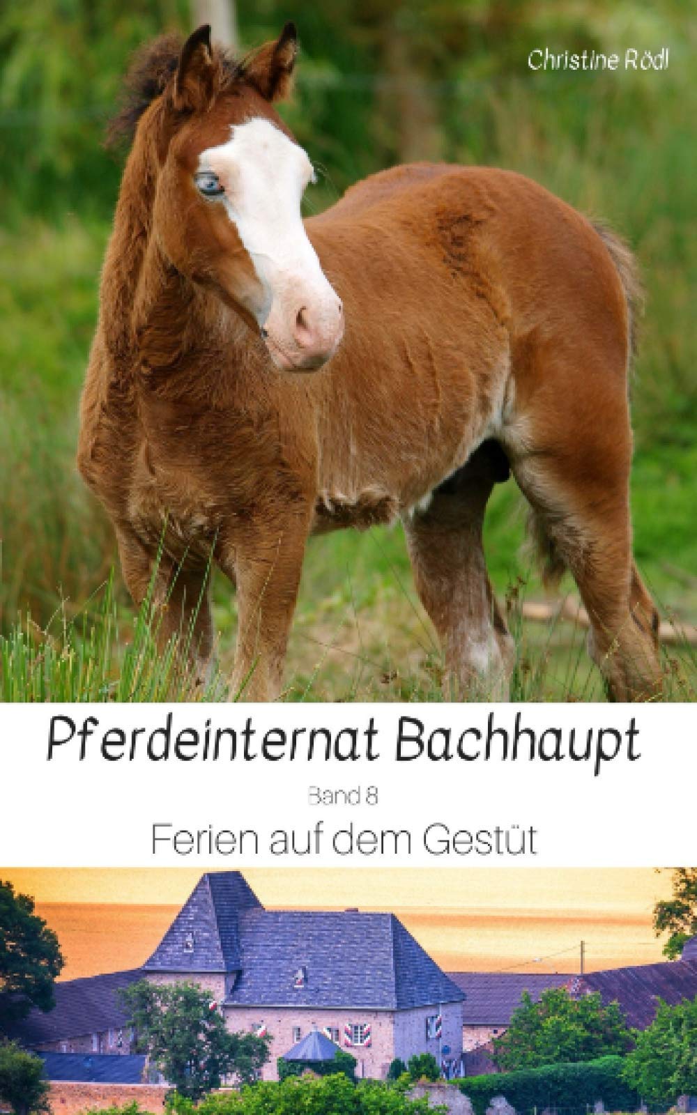 Ferien auf dem Gestüt (Pferdeinternat Bachhaupt, Band 8) Pets