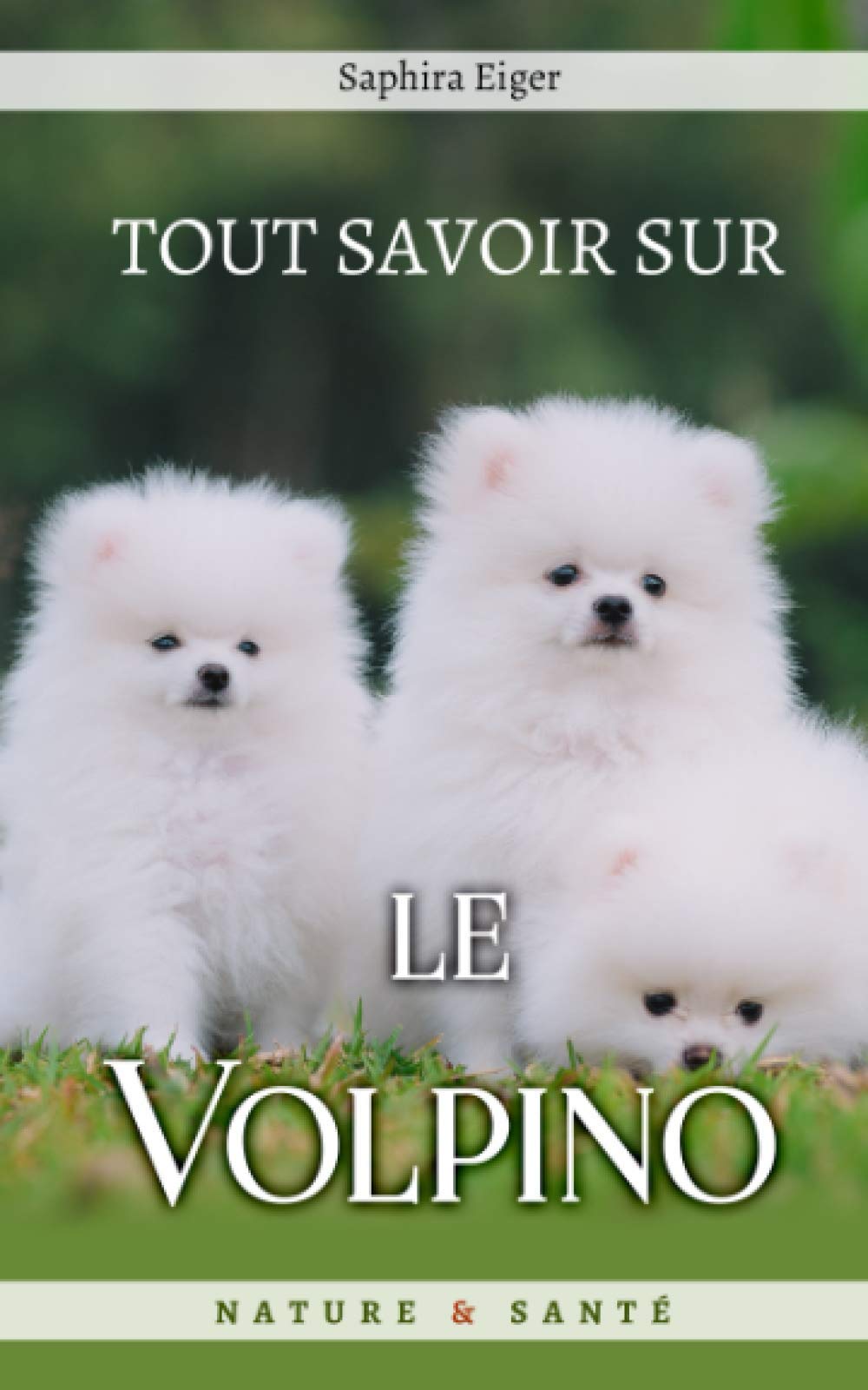 Tout Savoir sur le Volpino Italiano book