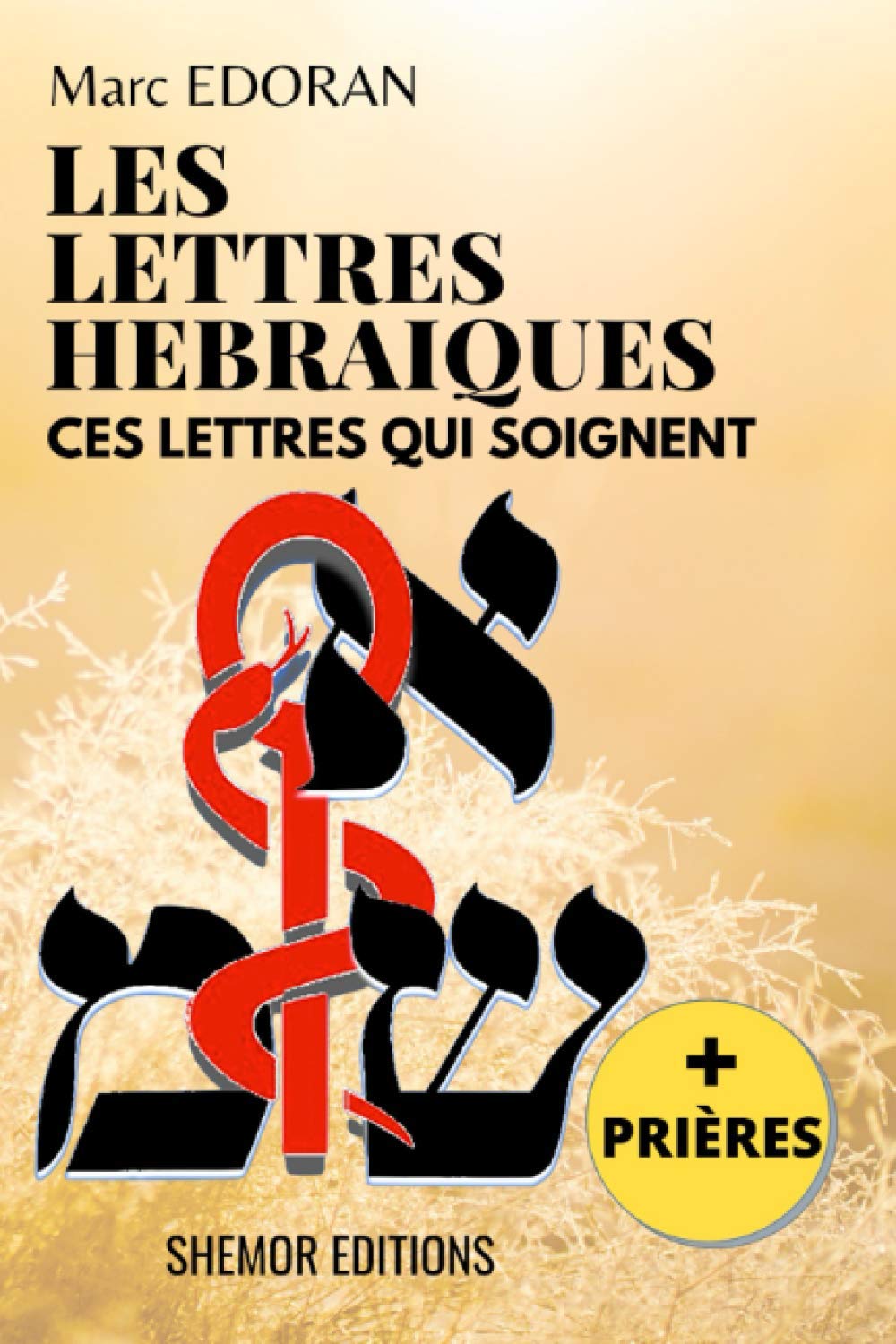 LES LETTRES HÉBRAÏQUES: Ces Lettres qui soignent Religion & Esotericism