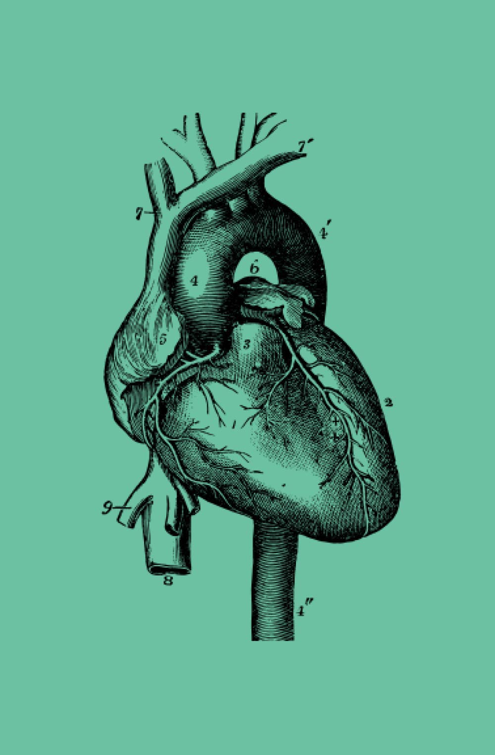 Human Heart: Notizbuch Human Herz - Menschliches Herz (Vintage Anatomy) Books
