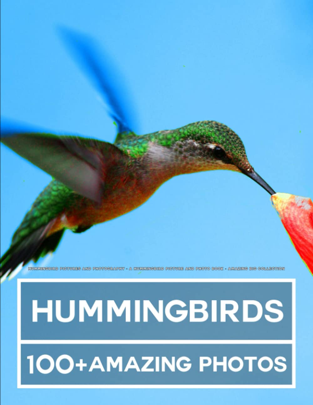 Hummingbird Pictures and Photography - A Hummingbirds Picture and Photo Book - Amazing Big Collection: 100+ Amazing Pictures of uUmmingbirds in this Beautiful Hummingbird photo book Nature & Animals