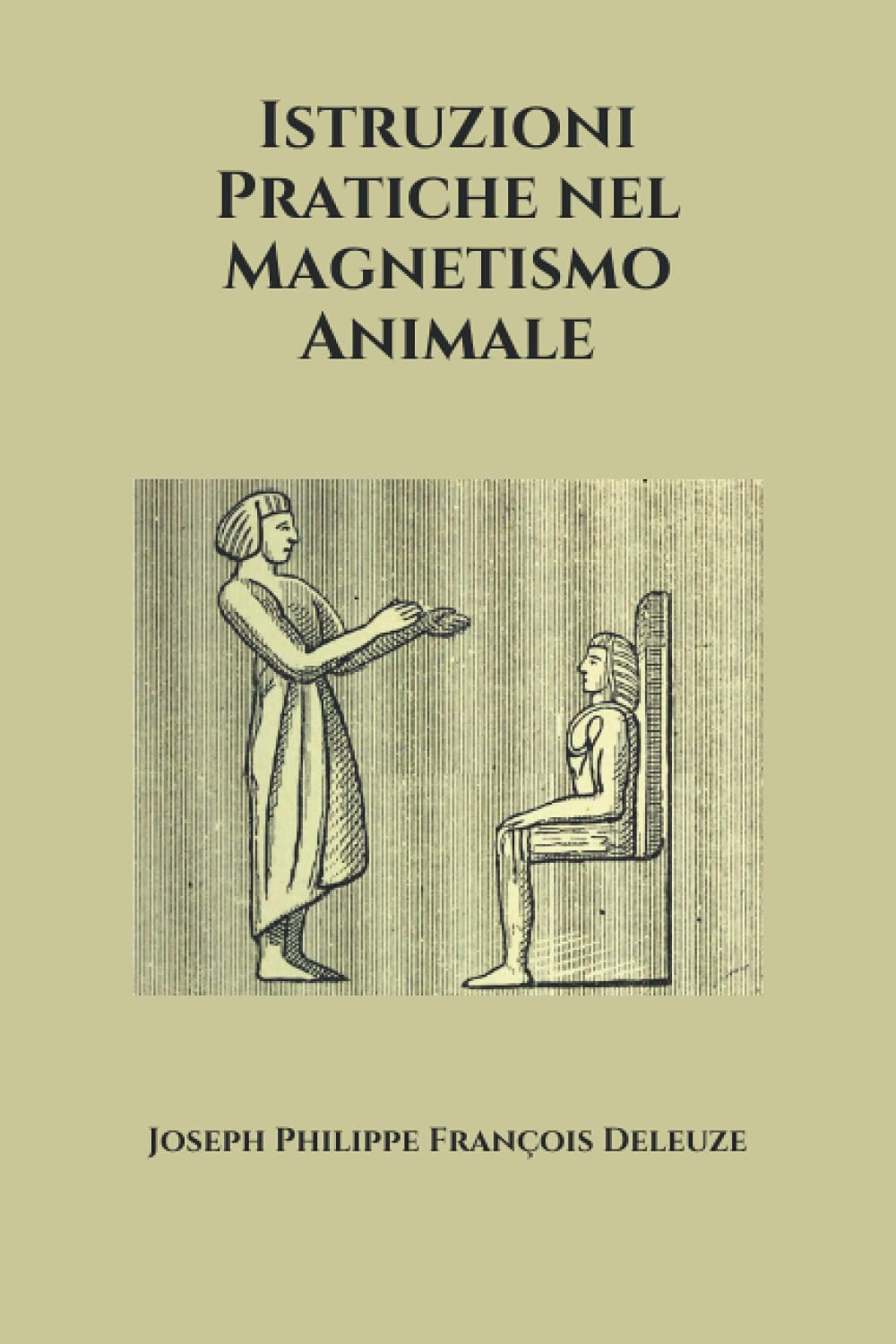 Istruzioni Pratiche nel Magnetismo Animale book
