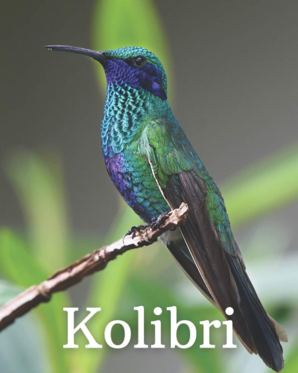 Kolibri: Das Bilderbuch der Kolibris Ideal für Parkinson Alzheimer & Senioren mit Demenz. Non-fiction