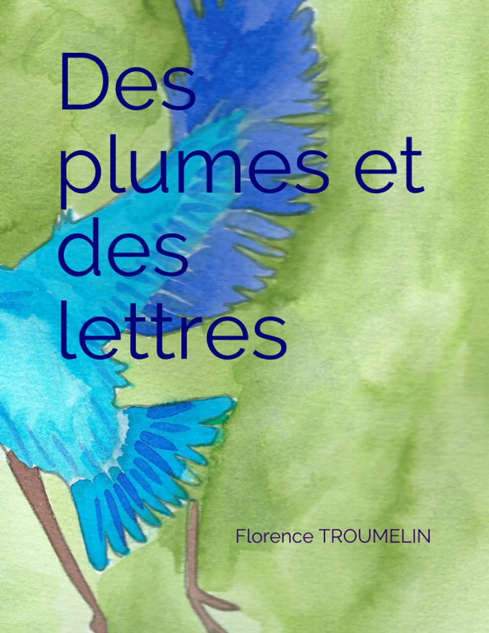 Des plumes et des lettres: Un abécédaire des oiseaux et ses comptines illustrées book