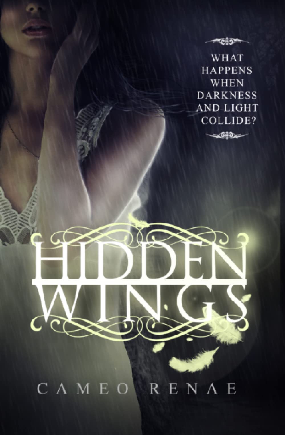 Hidden Wings (Hidden Wings Series Book One) Fantasy & Sci-Fi