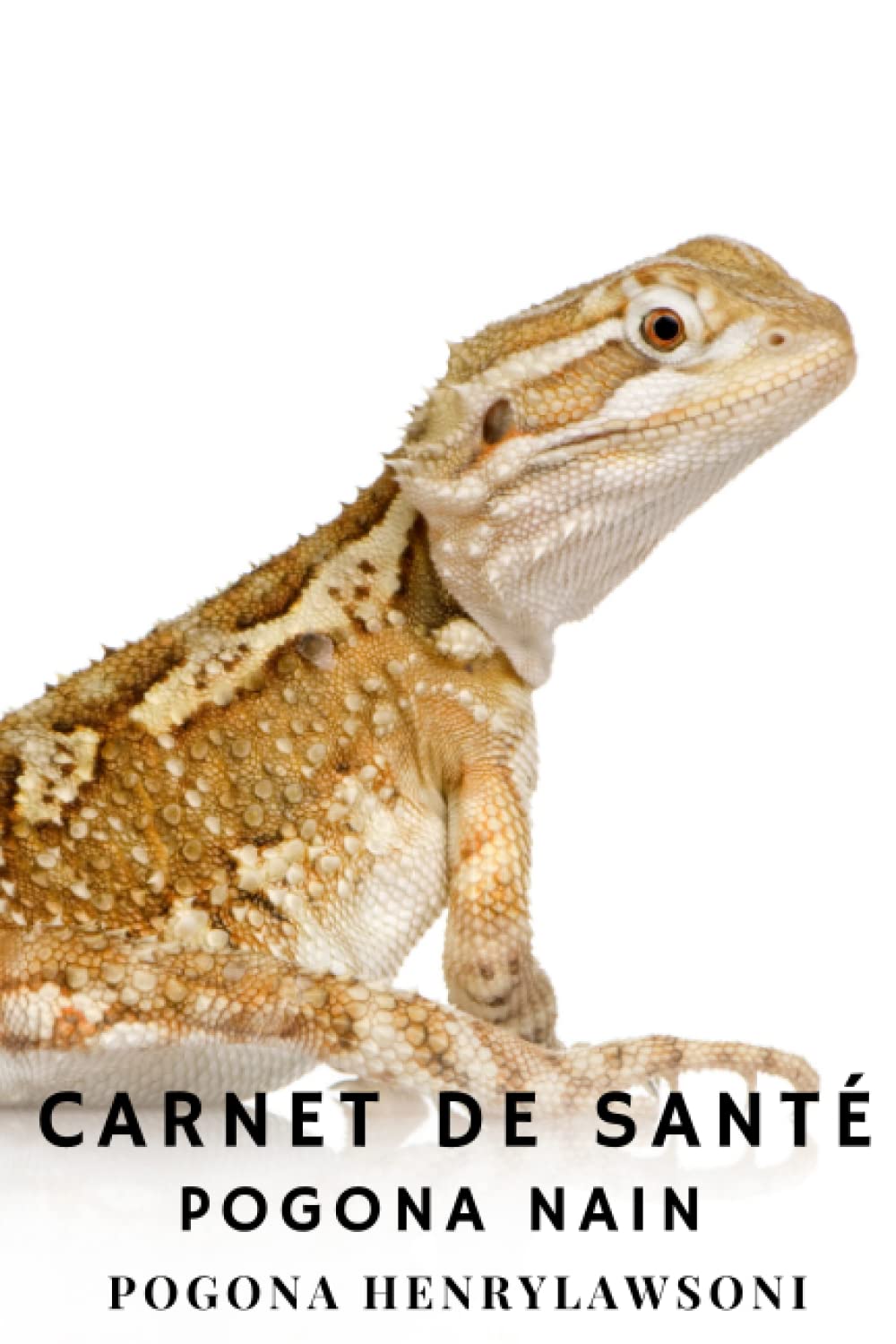 Carnet de Santé - Pogona Nain (POGONA henrylawsoni): 140 Pages à remplir ! Tout pour suivre l évolution de votre Lézard. book