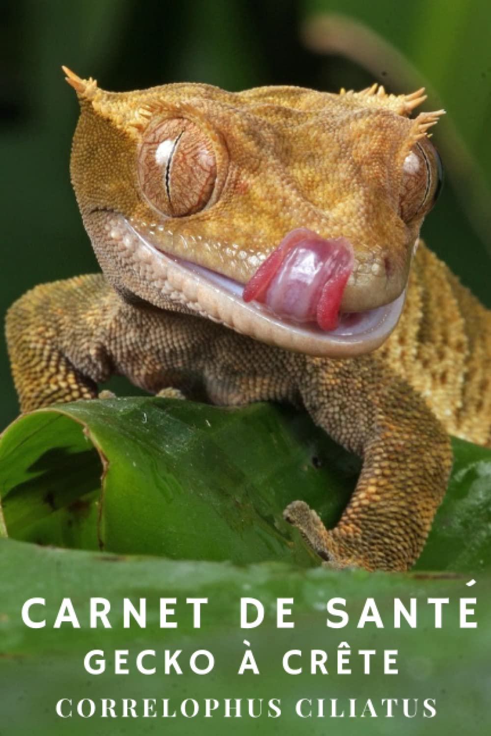 Carnet de Santé - Gecko à Crête (CORRELOPHUS ciliatus): 140 Pages à remplir ! Tout pour suivre l évolution de votre Lézard. book