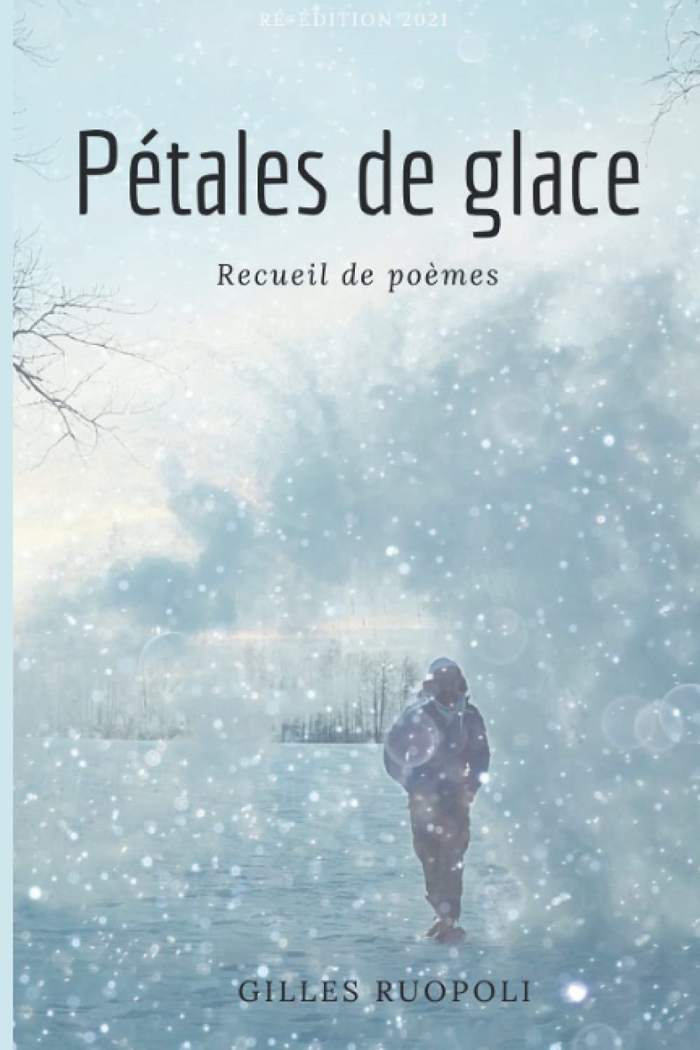 pétales de glace: recueil de poèmes book