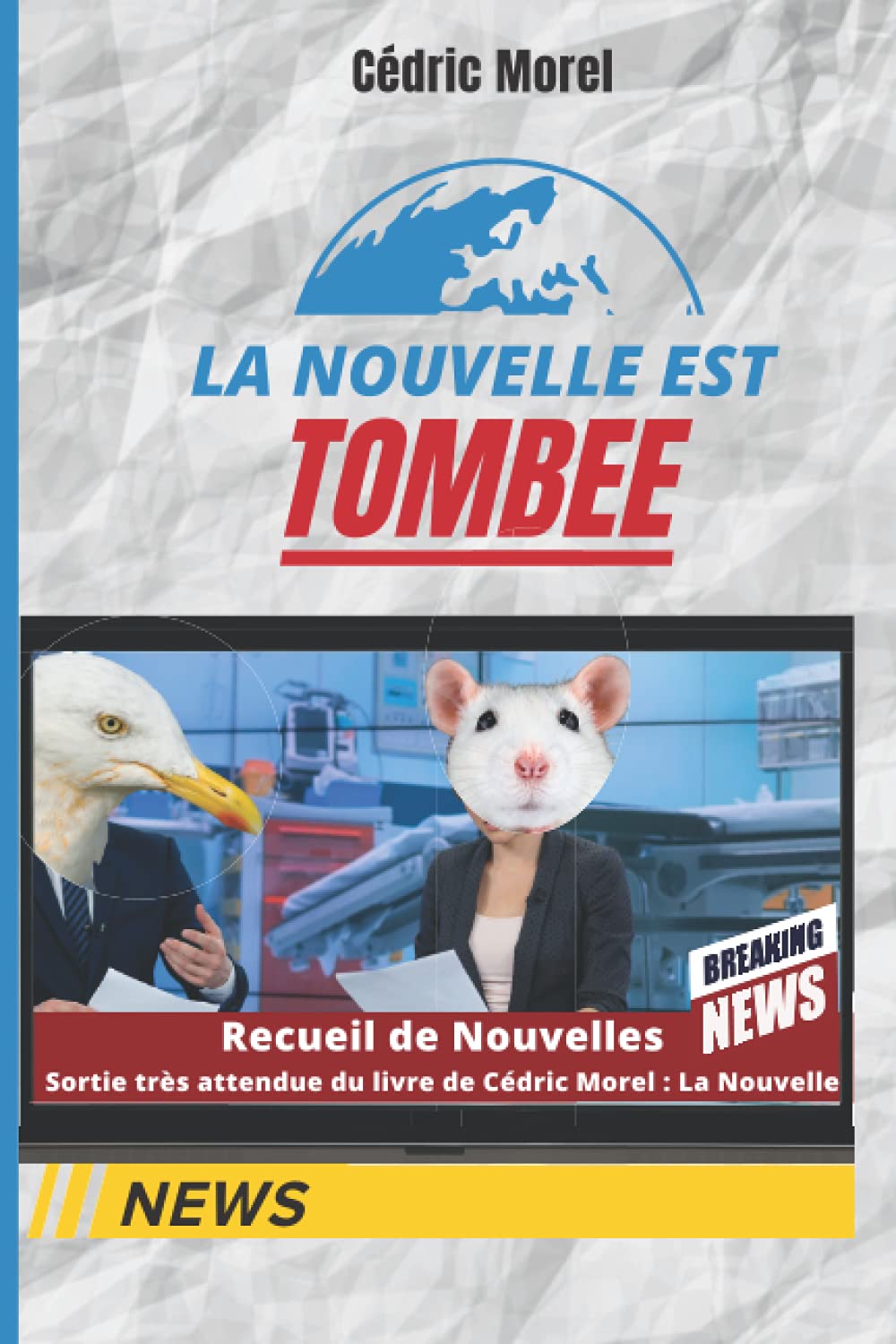 LA NOUVELLE EST TOMBEE: Recueil de nouvelles ! SF ! fantastique ! écologique ! suspens book