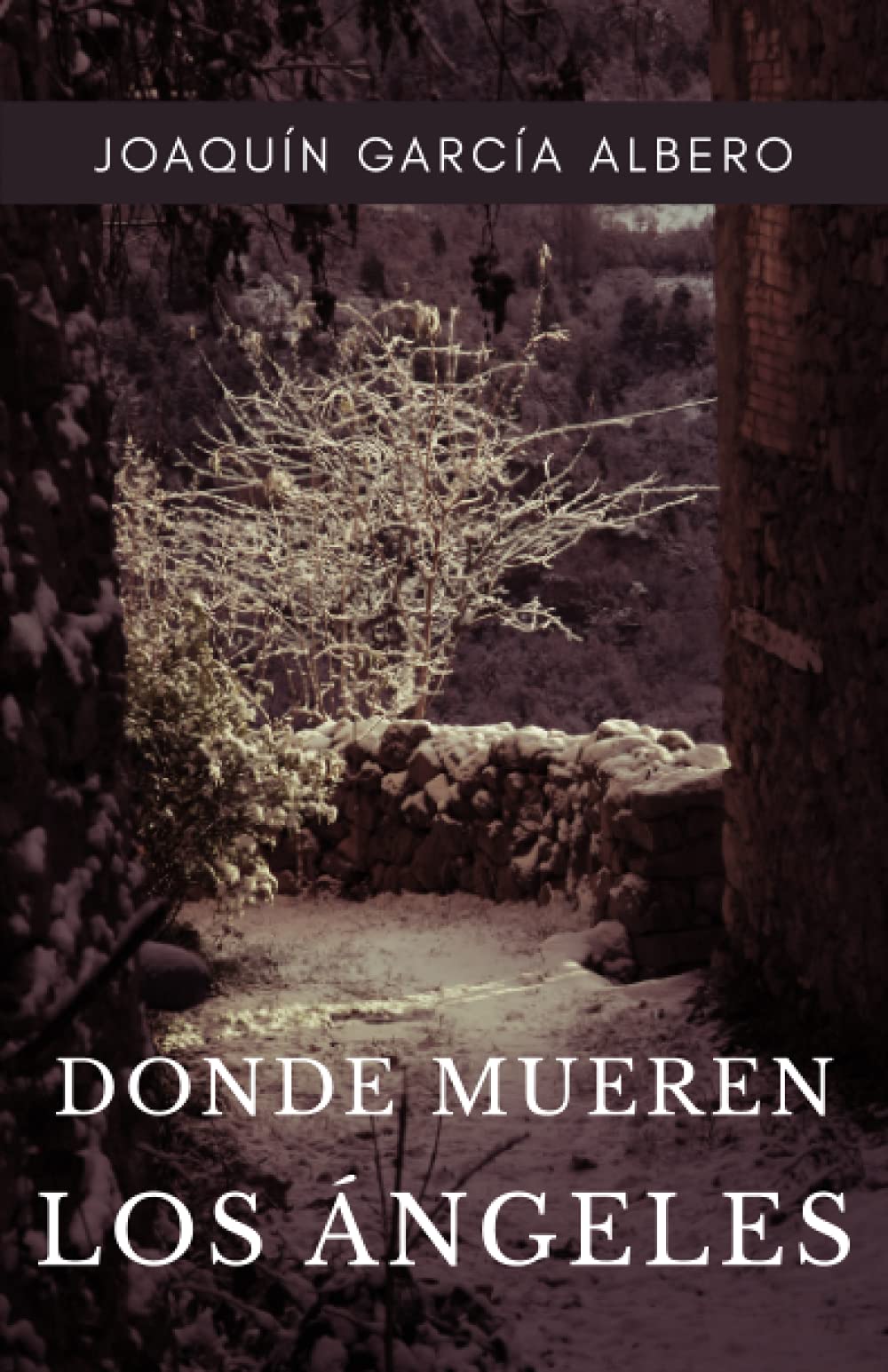Donde mueren los ángeles book