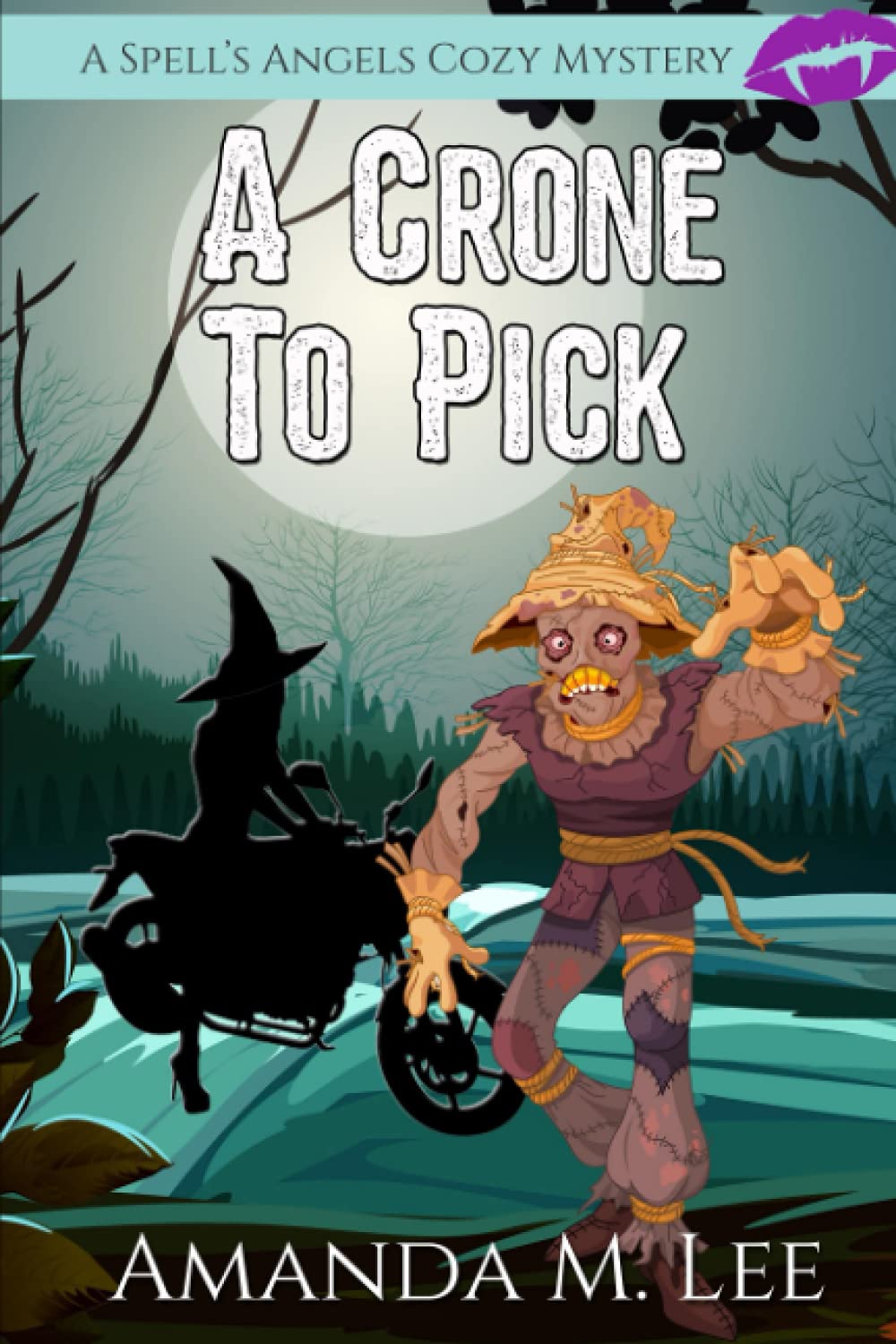 A Crone to Pick (A Spell's Angels Cozy Mystery, Band 6) Contemporary literature