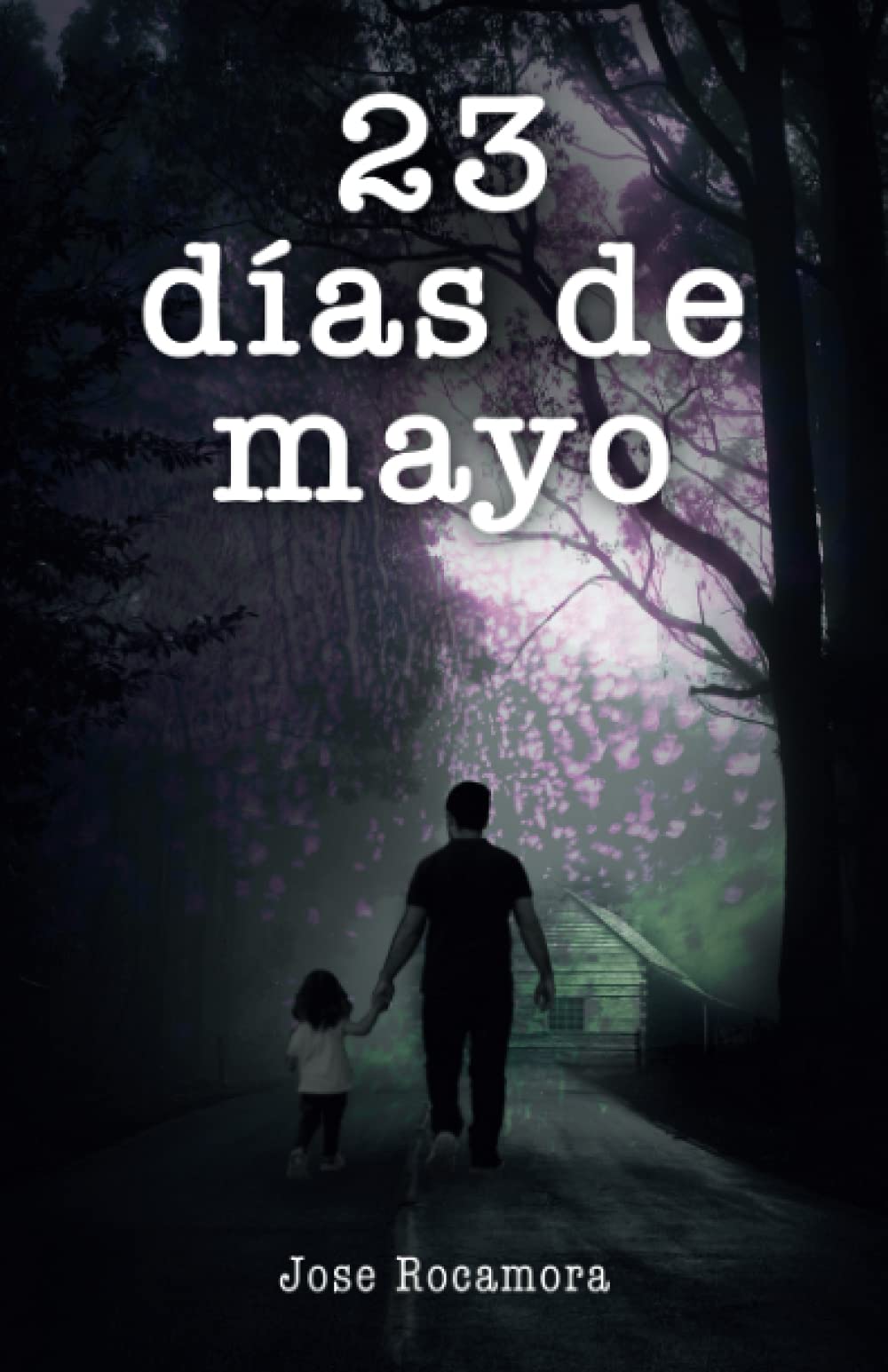 23 días de mayo book