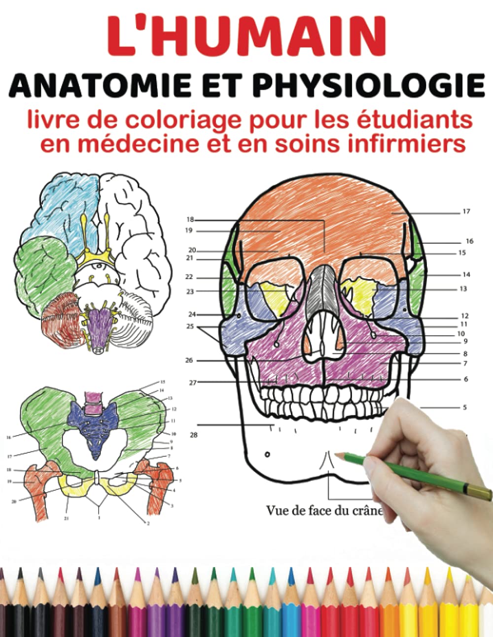 L'humain Anatomie et physiologie livre de coloriage pour les étudiants en médecine et en soins infirmiers: Un moyen plus simple d'apprendre. Meilleur ... en sciences infirmières et même les enfants book