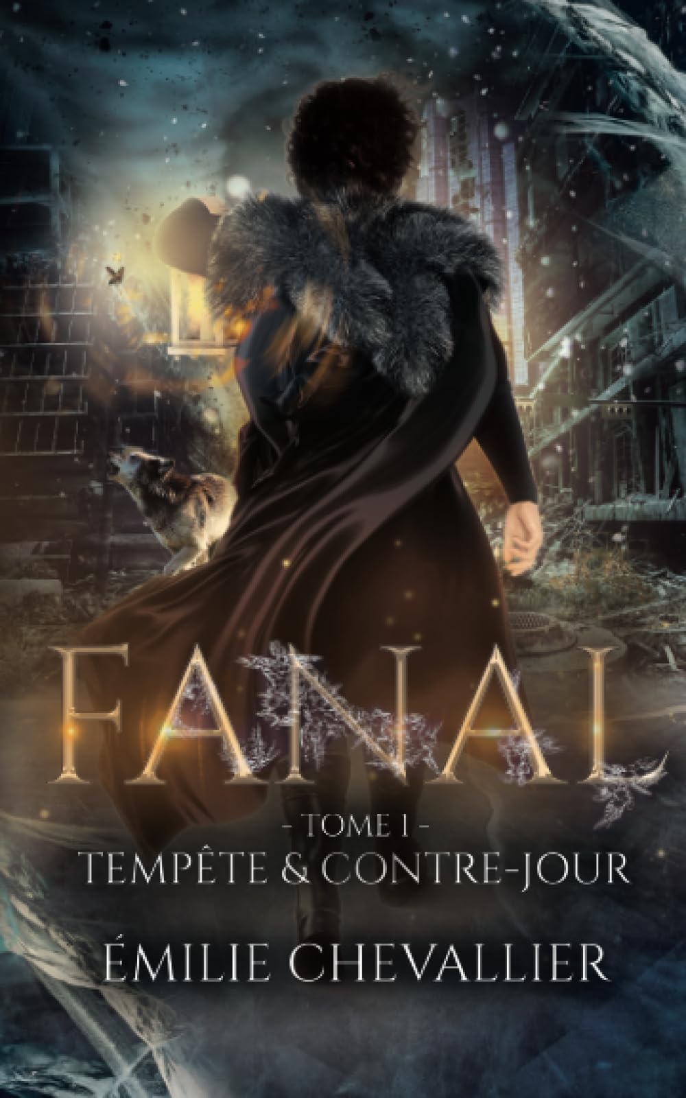 Tempête & Contre-Jour book