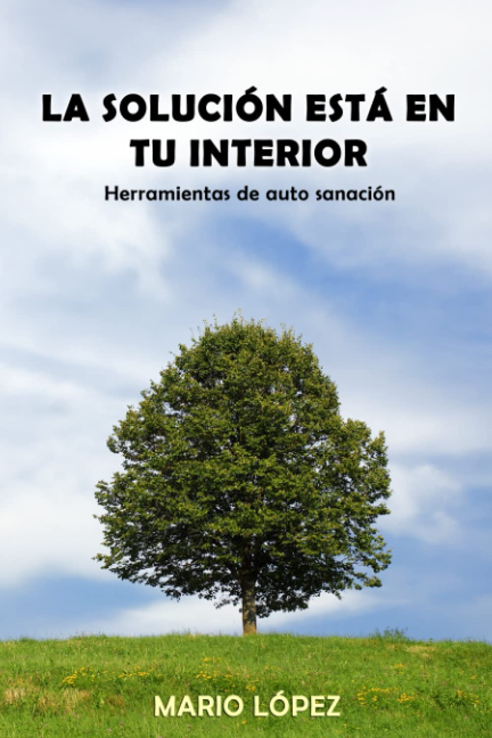 La solución está en tu interior: Herramientas de auto sanación Health, Nutrition & Fitness