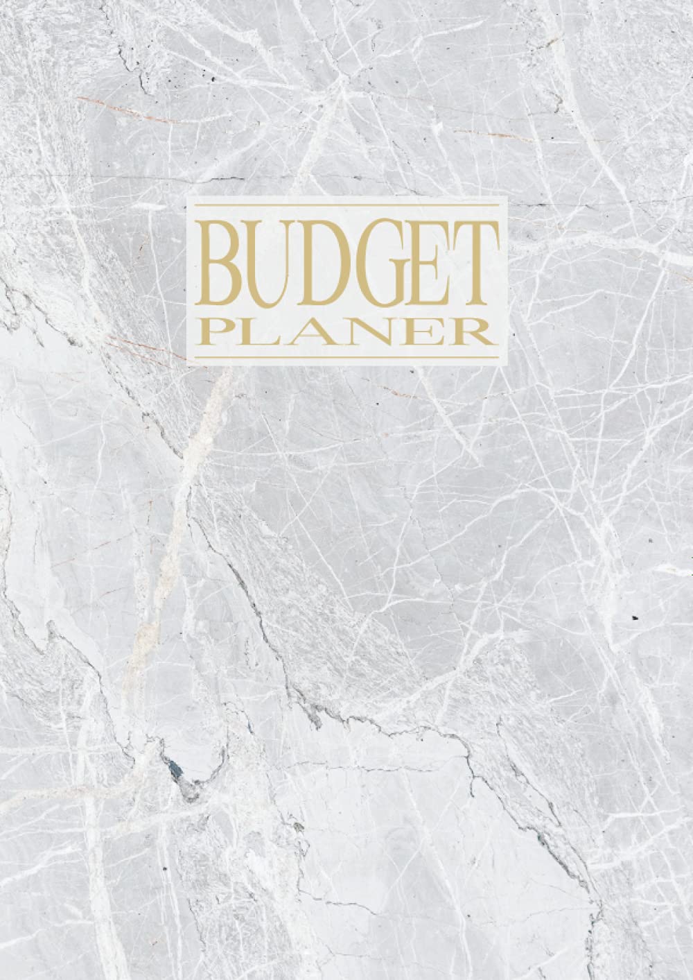 Budget Planer: XXL Budgetplaner Organizer Buch für die Budgetplanung | Geeignet als Haushaltsbuch, Finanzplaner oder Kassenbuch | Kostenbuch zum eintragen | Marmor Optik Business, Finance & Career
