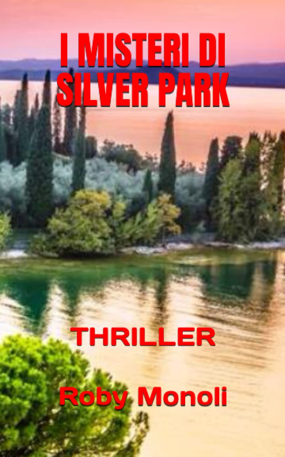 I MISTERI DI SILVER PARK: THRILLER book