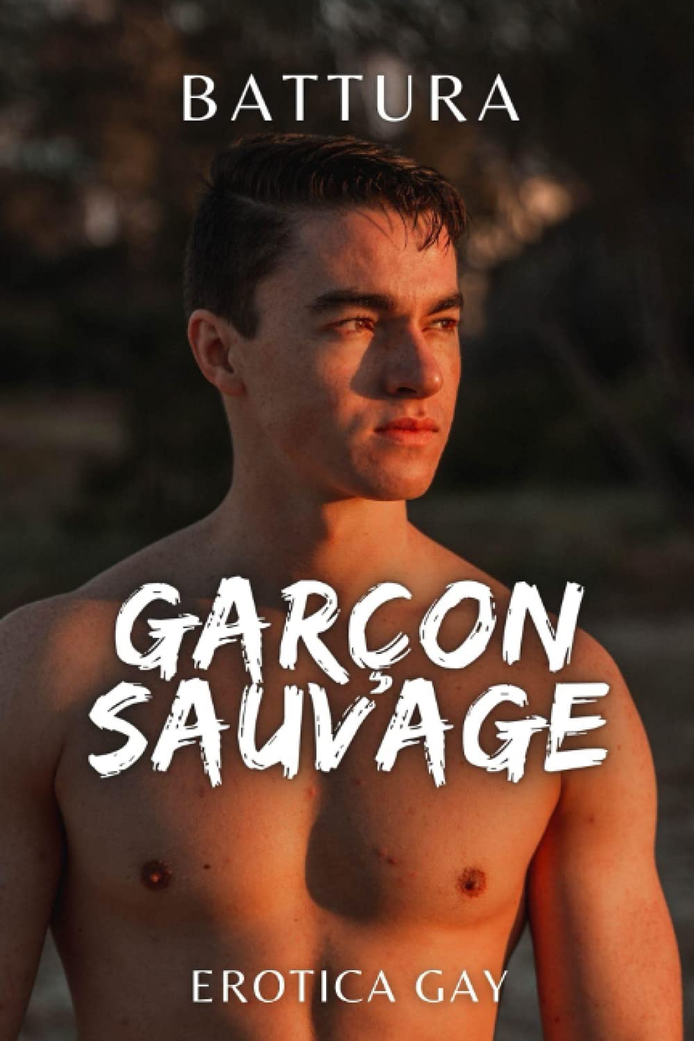 Garçon sauvage: récit érotique gay (mm, m/m) book
