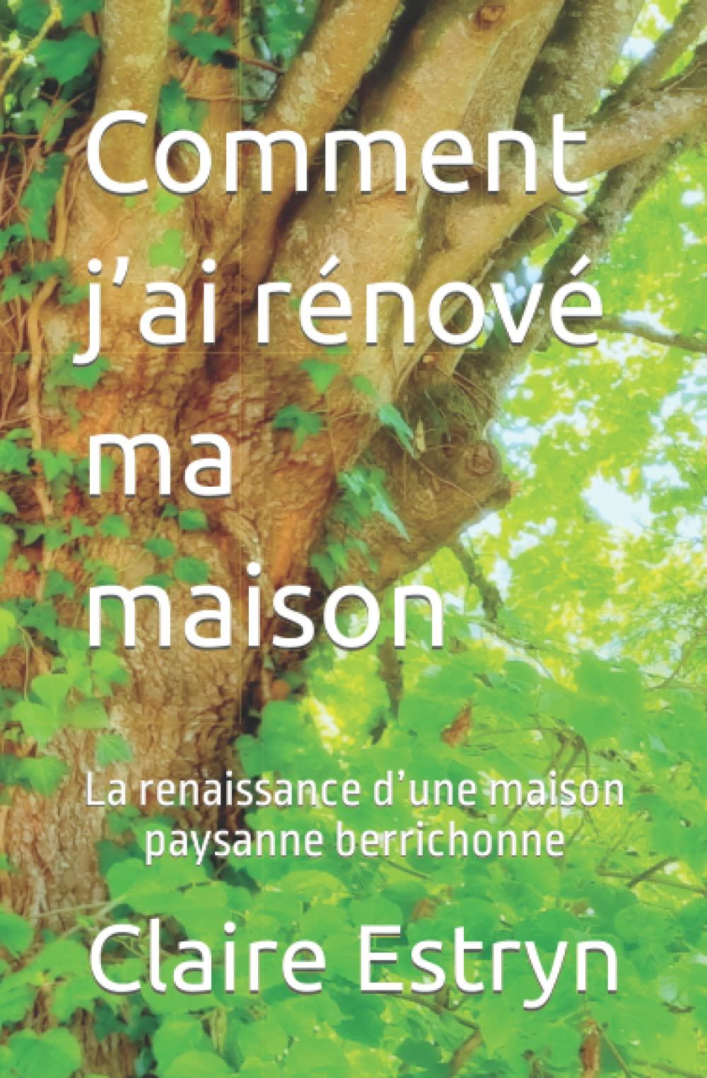 Comment j’ai rénové ma maison: La renaissance d’une maison paysanne berrichonne book