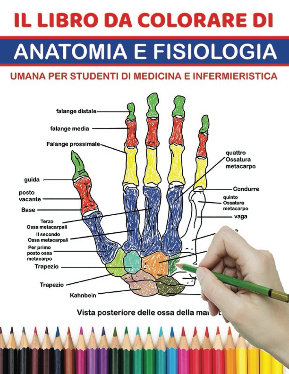 IL LIBRO DA COLORARE DI ANATOMIA E FISIOLOGIA UMANA PER STUDENTI DI MEDICINA E INFERMIERISTICA: La guida definitiva all'autotest per conoscere il ... medicina e infermieristica, adulti e bambini Medicine