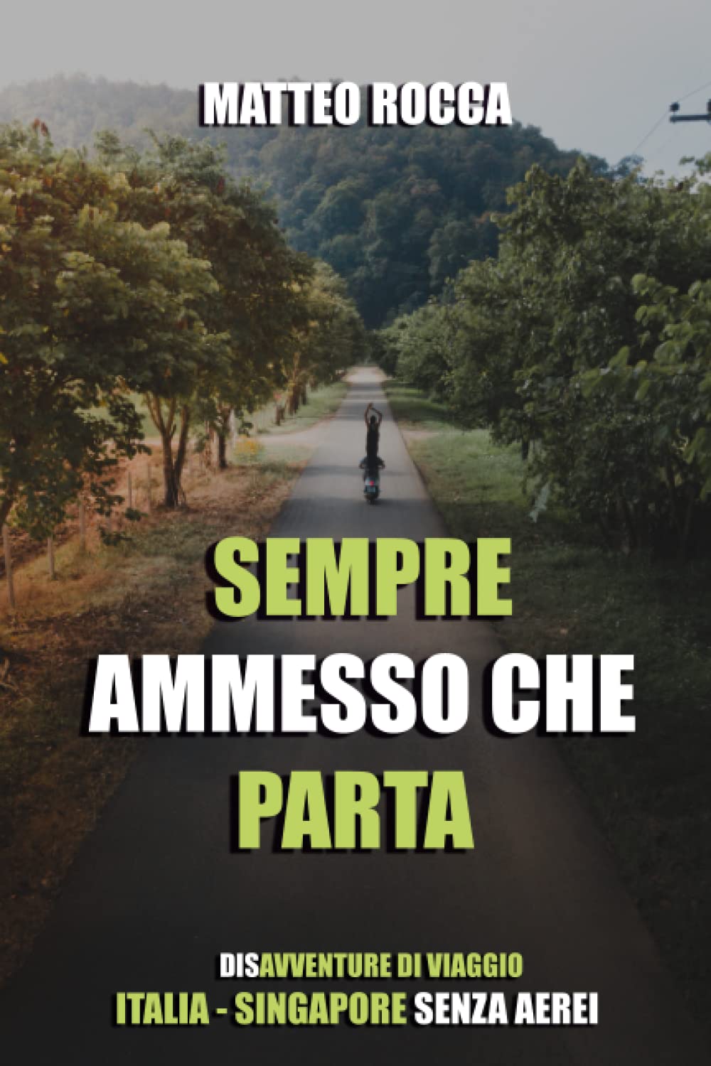 SEMPRE AMMESSO CHE PARTA: (DIS)AVVENTURE DI VIAGGIO, ITALIA - SINGAPORE SENZA AEREI book