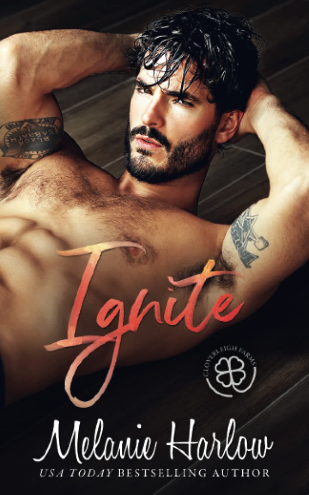Ignite: A Grumpy Single Dad Romance (Cloverleigh Farms Next Generation, Band 1) Contemporary Romance
