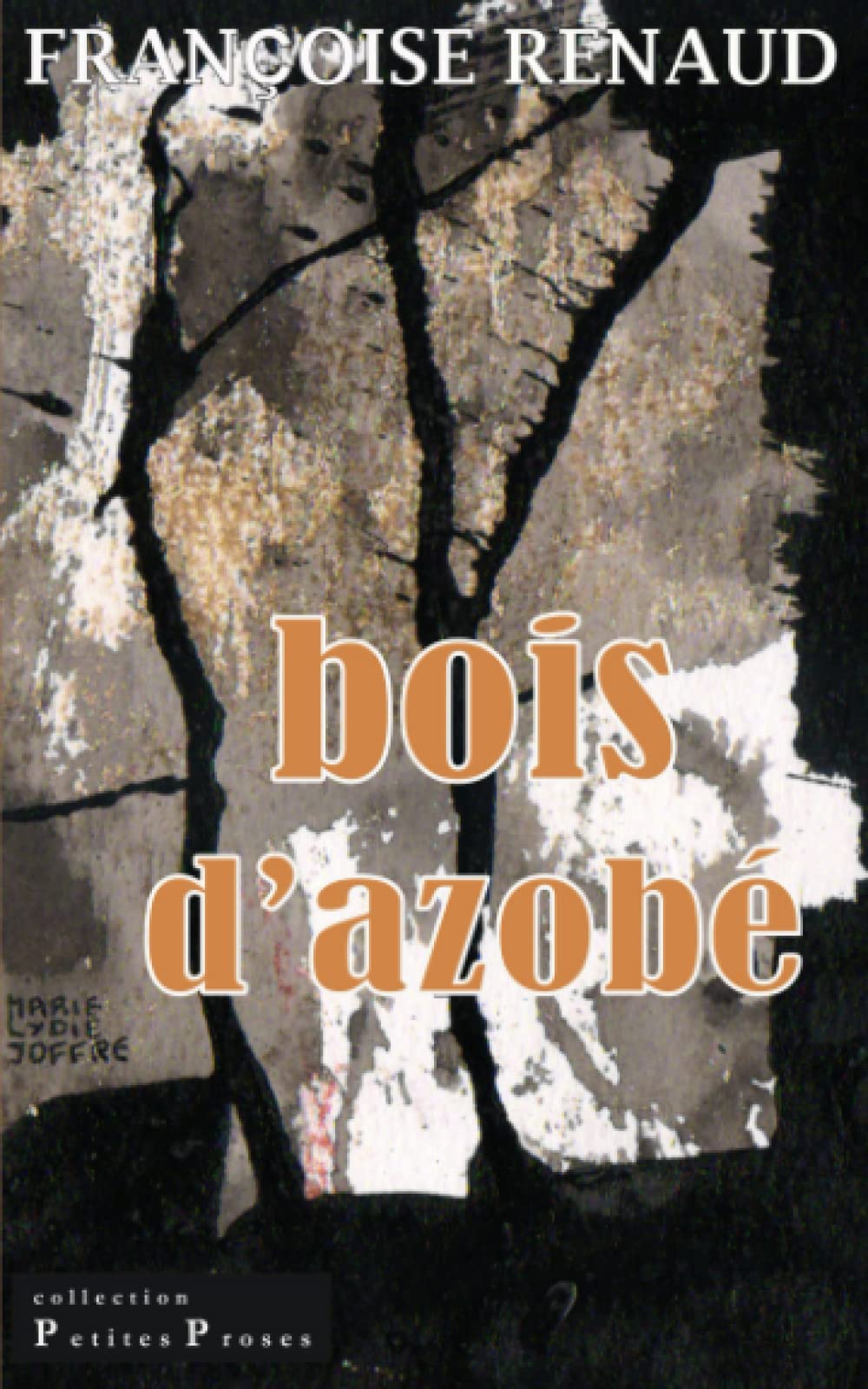 Bois d'azobé: Naissance d'un personnage book