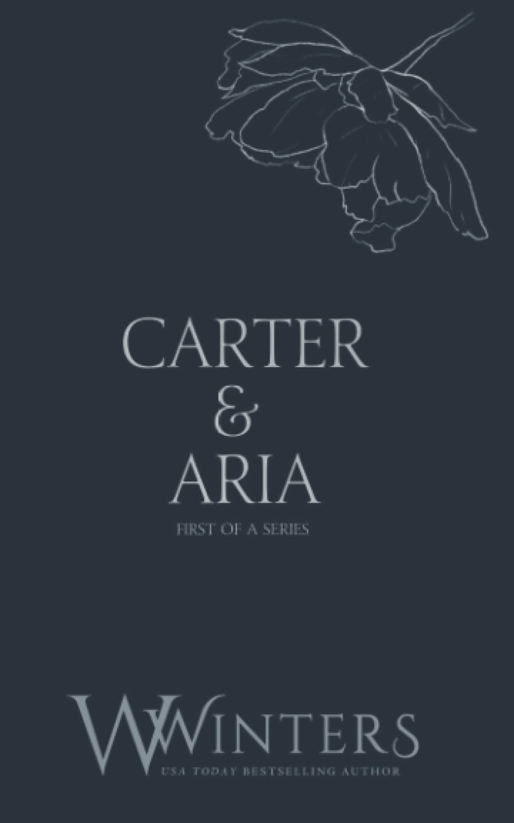 Carter & Aria: Merciless (Discreet Series, Band 31) Romantic Thrillers