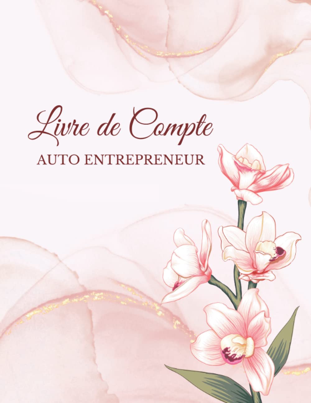 Livre de Compte Auto Entrepreneur: Registre recettes achats auto-entrepreneur /micro entrepreneur, conforme aux obligations comptables, format A4. Business, Finance & Career