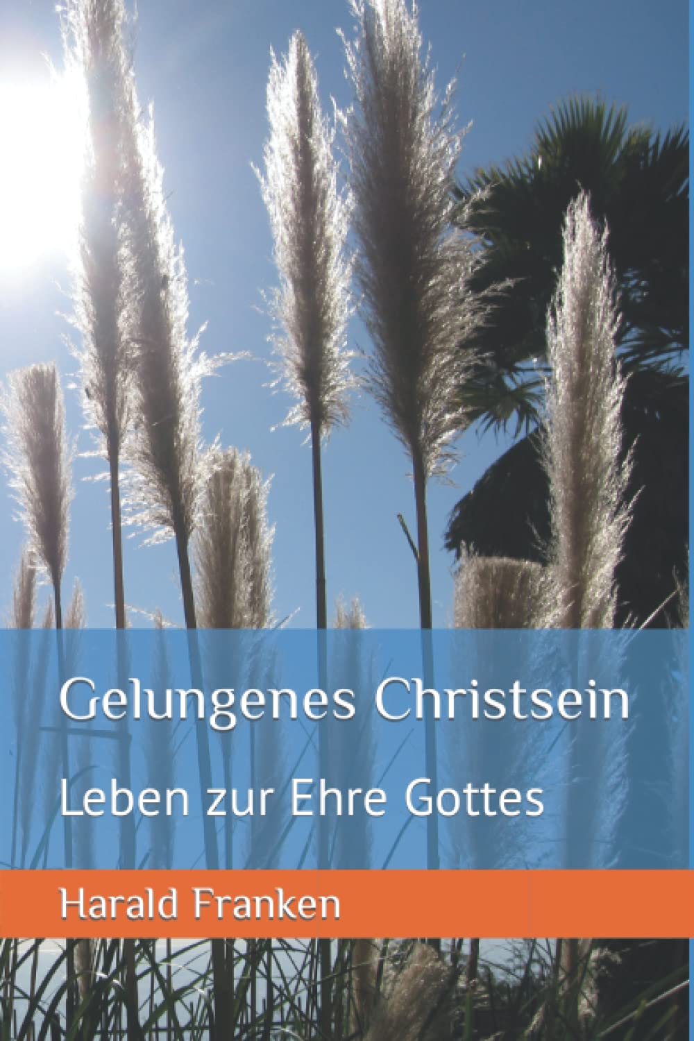 Gelungenes Christsein: Leben zur Ehre Gottes Religion & Esotericism