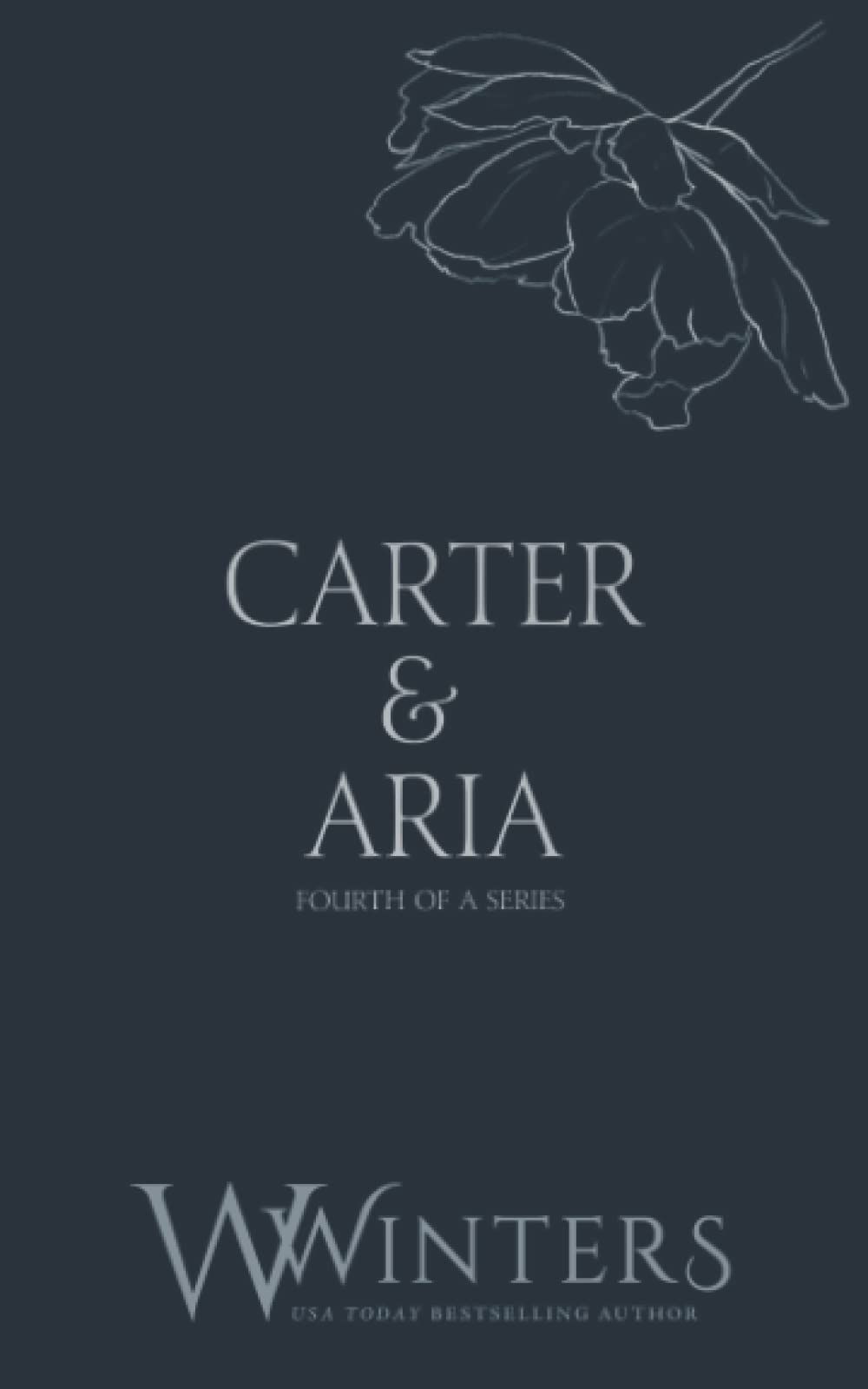 Product Image: Carter & Aria: Endless (Discreet Series, Band 34)