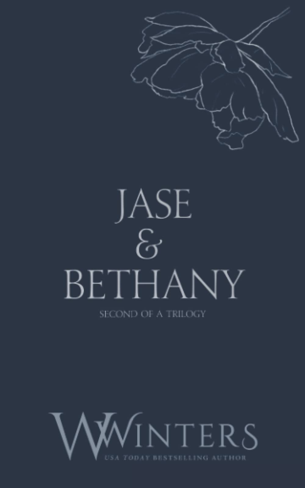 Jase & Bethany: A Single Kiss (Discreet Series, Band 36) Romantic Thrillers