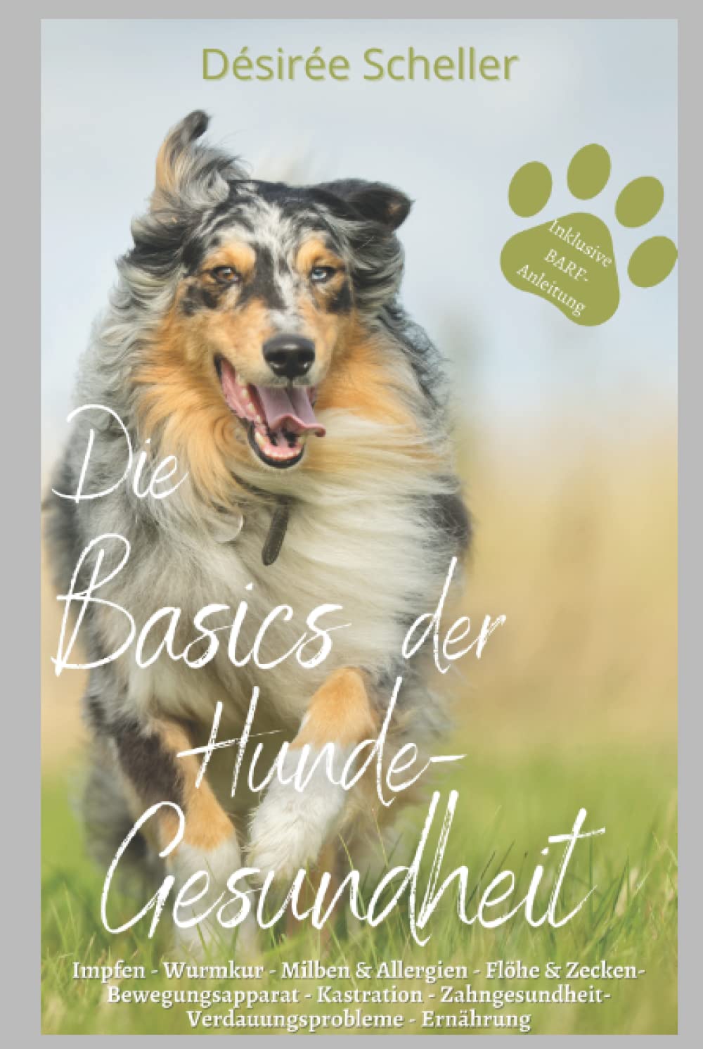 Die Basics der Hundegesundheit: Hilfe zum Thema Impfen -Wurmkur -Milben&Allergien - Flöhe&Zecken - Bewegungsapparat - Kastration - Zahngesundheit -Verdauungsprobleme - Ernährung book