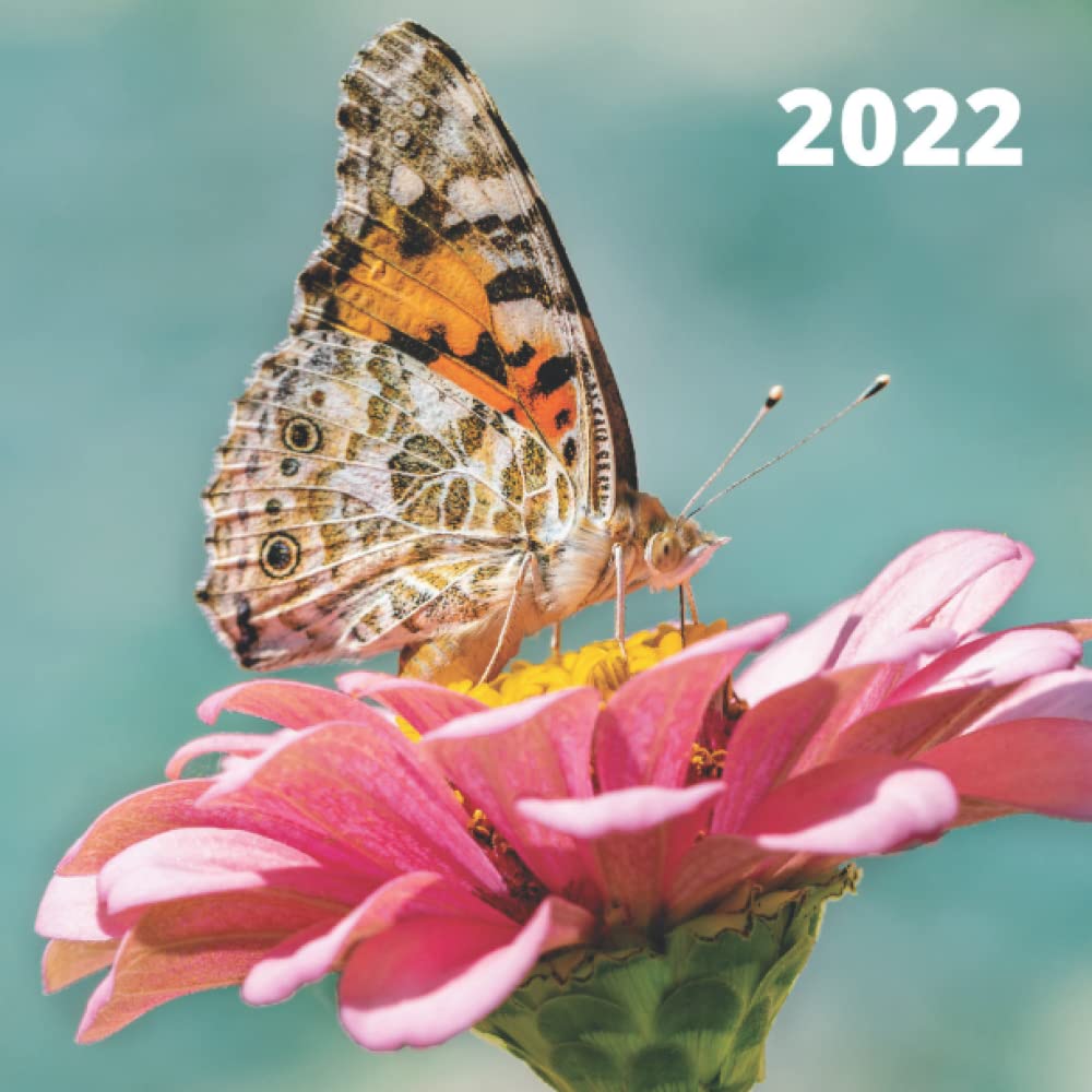 Calendrier 2022: Thème - Papillons | 2 pages par mois (1 page d'image et 1 page du mois) book