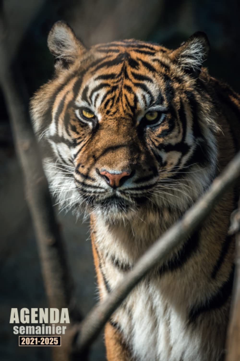 Agenda semainier 2021-2025: Agenda semainier 5 ans ( janvier 2021 / décembre 2025) , to do list, Notes, Calendrier avec planification mensuelle | Français | Couverture tigre félin animaux sauvages book