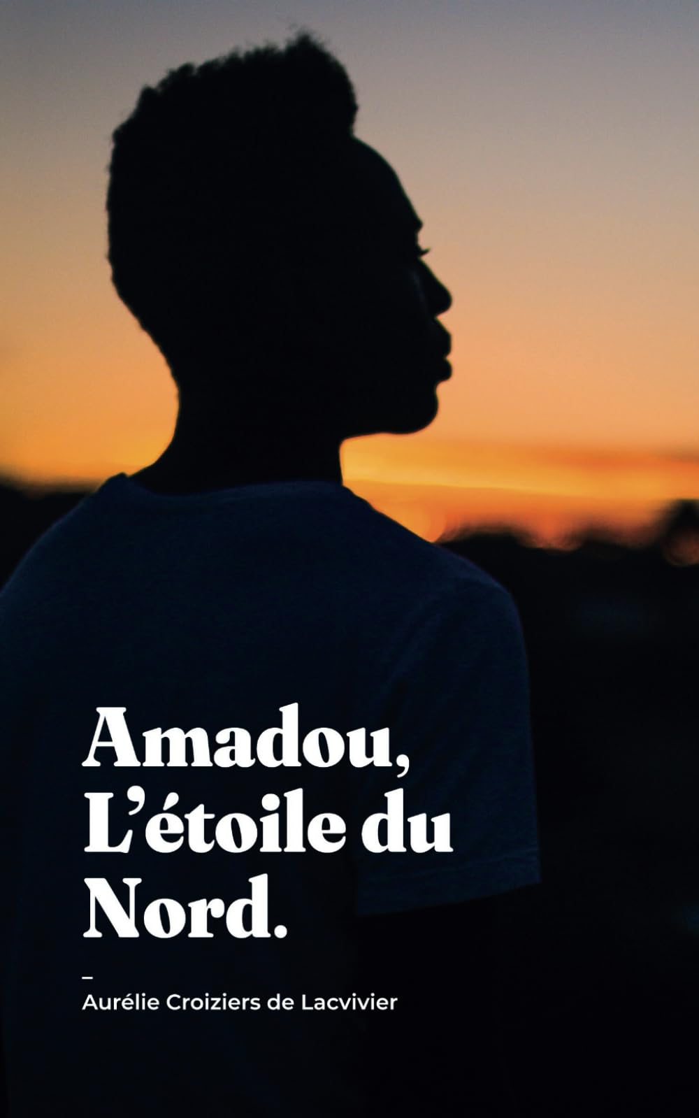 Amadou, L'étoile du Nord Contemporary literature