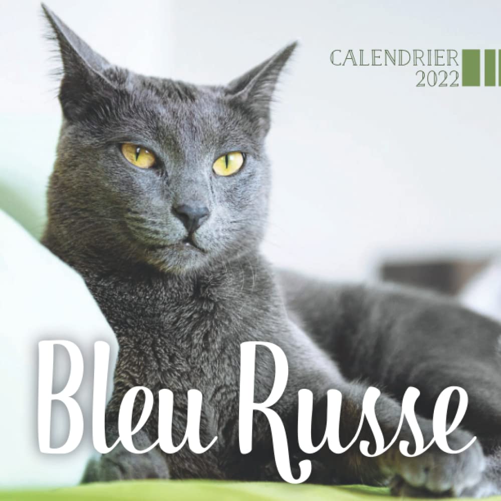 Bleu Russe Calendrier 2022: Calendrier 12 mois, de janvier 2022 à décembre 2022 - 8.5 po x 8.5 po - Un accessoire pratique pour vous aider à planifier et suivre votre vie quotidienne book