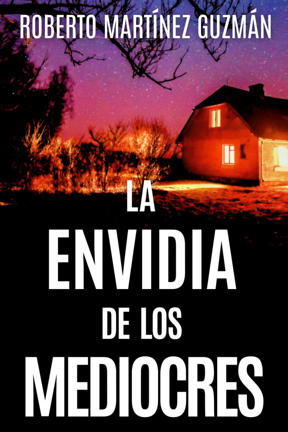 LA ENVIDIA DE LOS MEDIOCRES (Lucas Acevedo 2) book