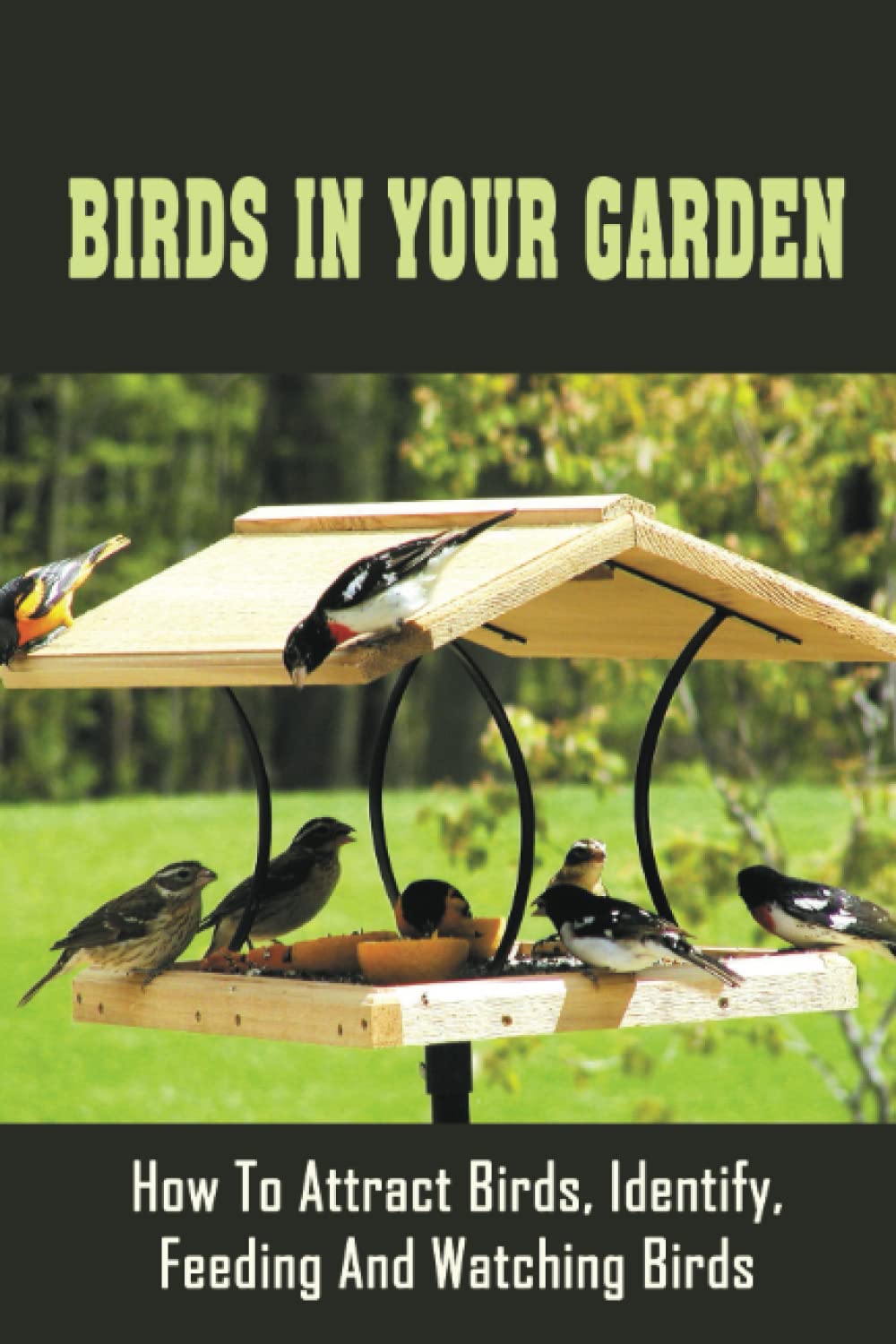Birds In Your Garden: How To Attract Birds, Identify, Feeding And Watching Birds Pets