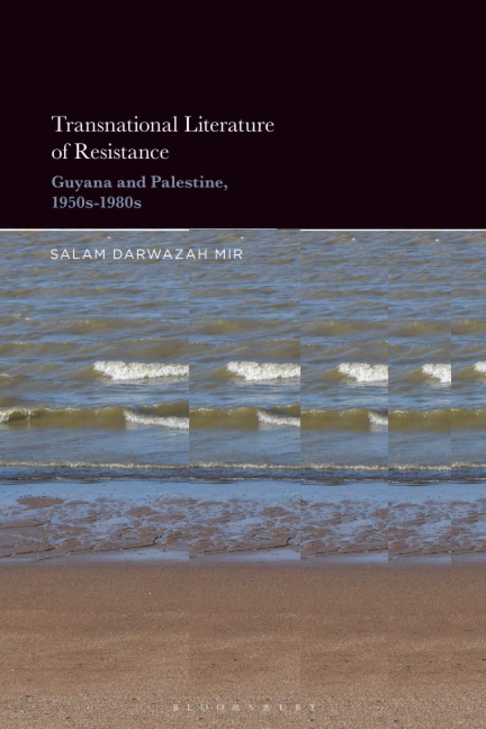 Transnational Literature of Resistance Contemporary literature