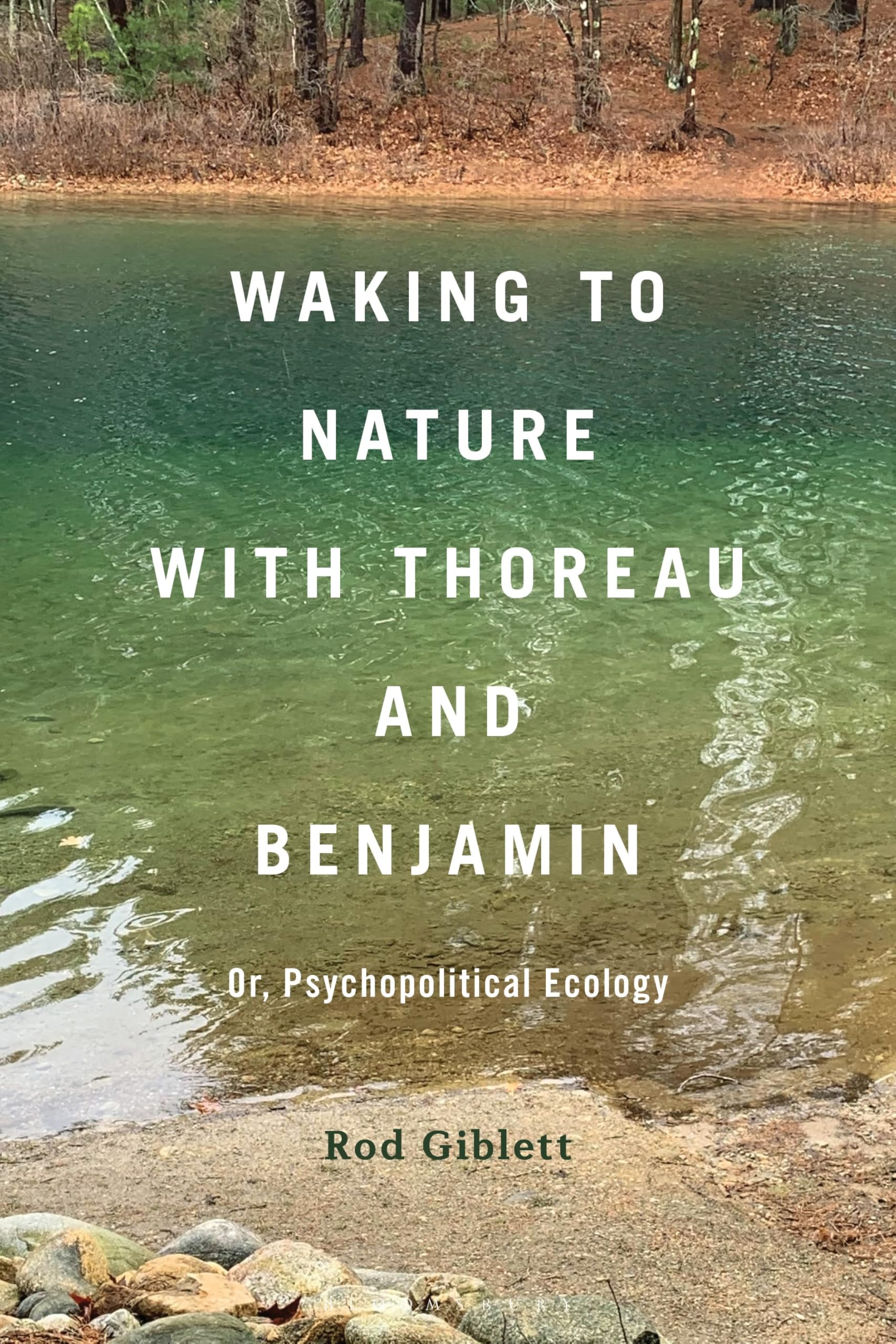 Waking to Nature with Thoreau and Benjamin Contemporary literature