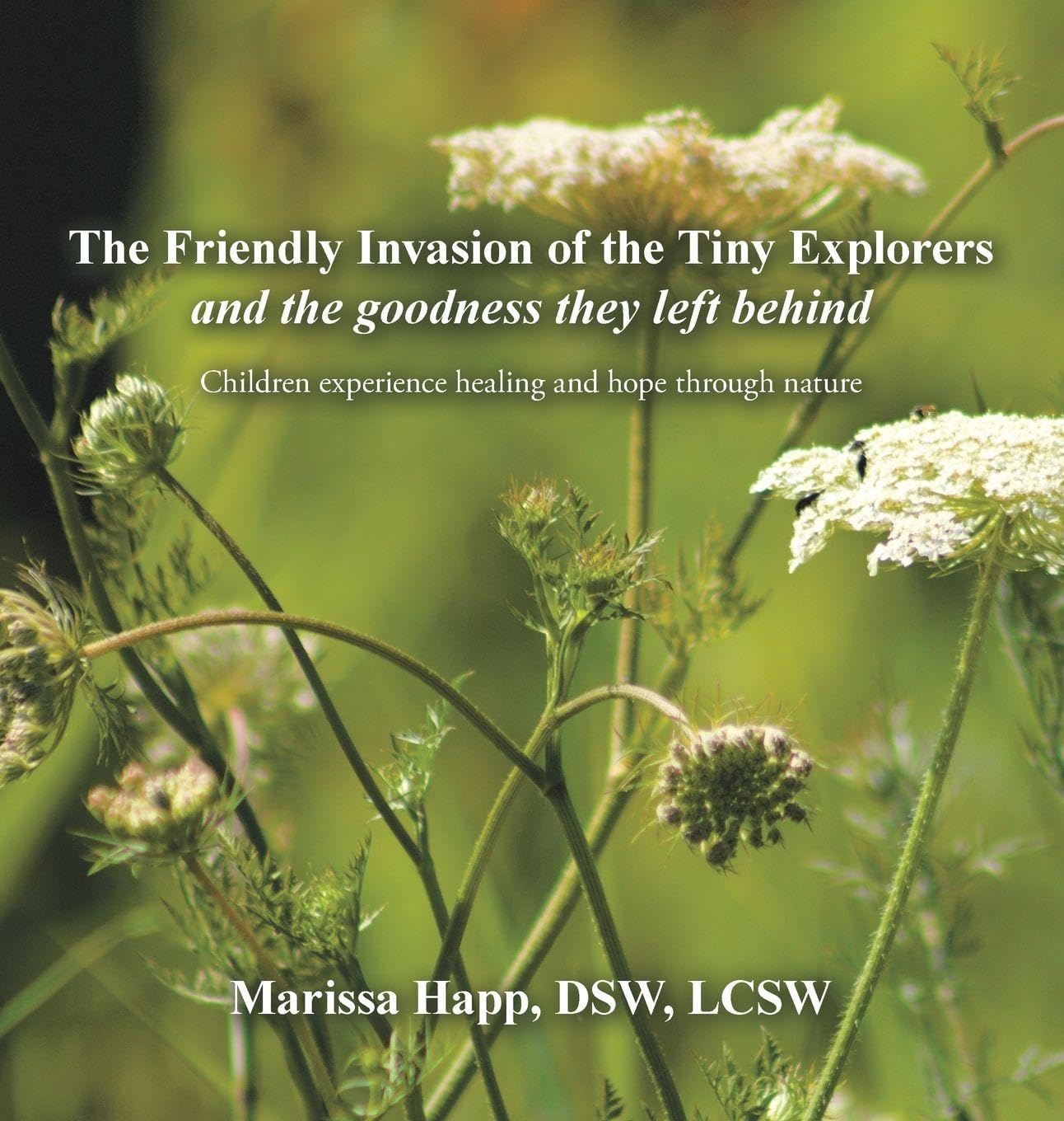 The Friendly Invasion of the Tiny Explorers and the goodness they left behind Mathematics