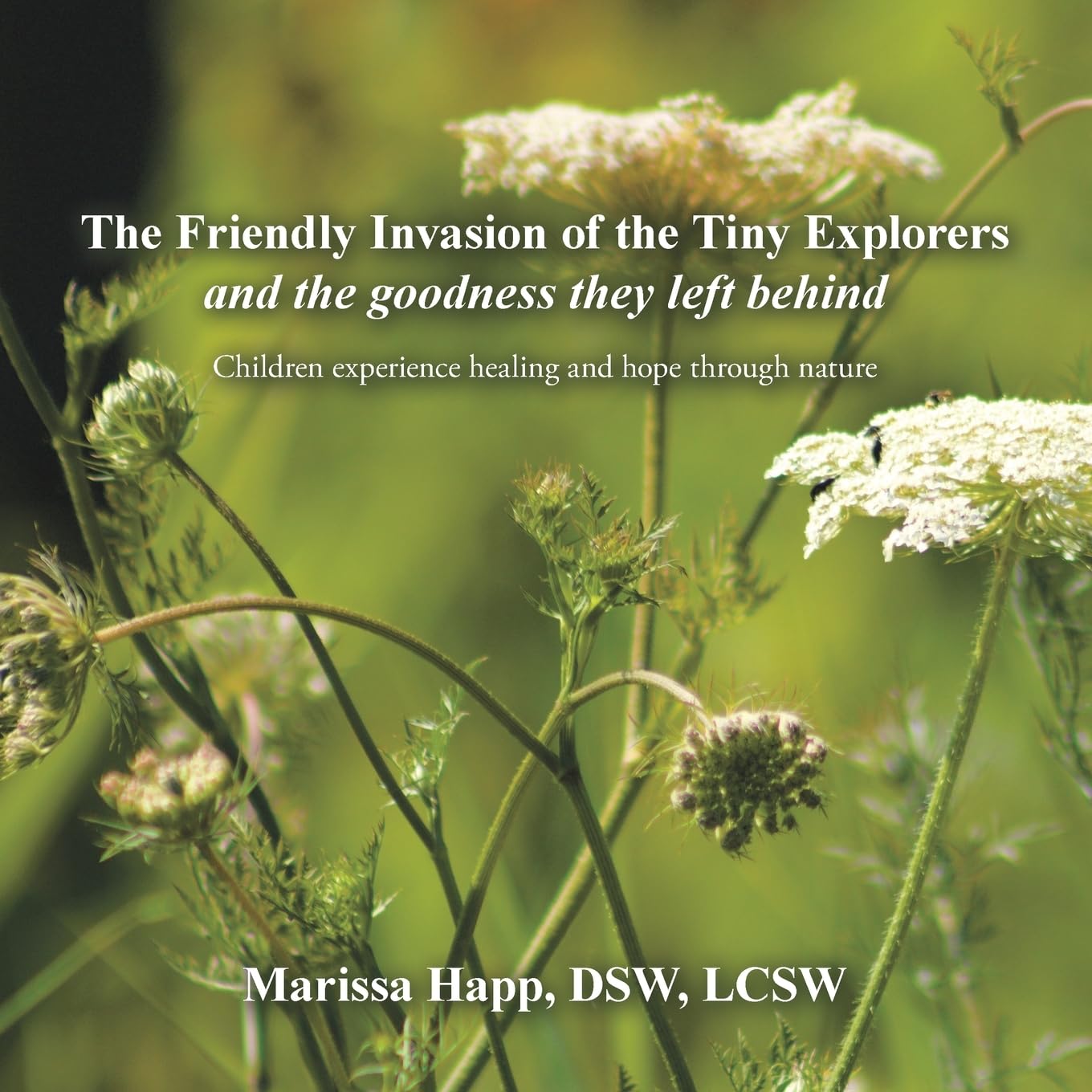 The Friendly Invasion of the Tiny Explorers and the goodness they left behind Mathematics