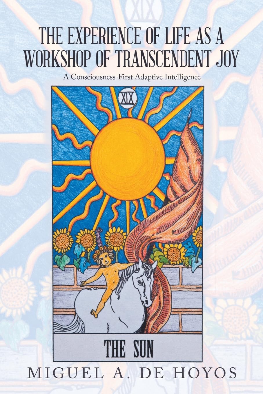 THE EXPERIENCE OF LIFE AS A WORKSHOP OF TRANSCENDENT JOY Psychology