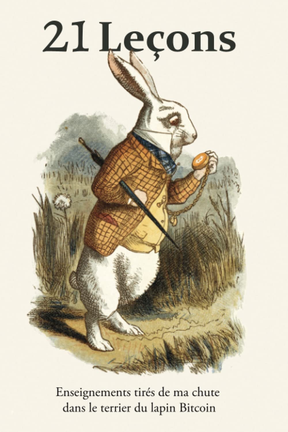 21 Leçons: Enseignements tirés de ma chute dans le terrier du lapin Bitcoin book