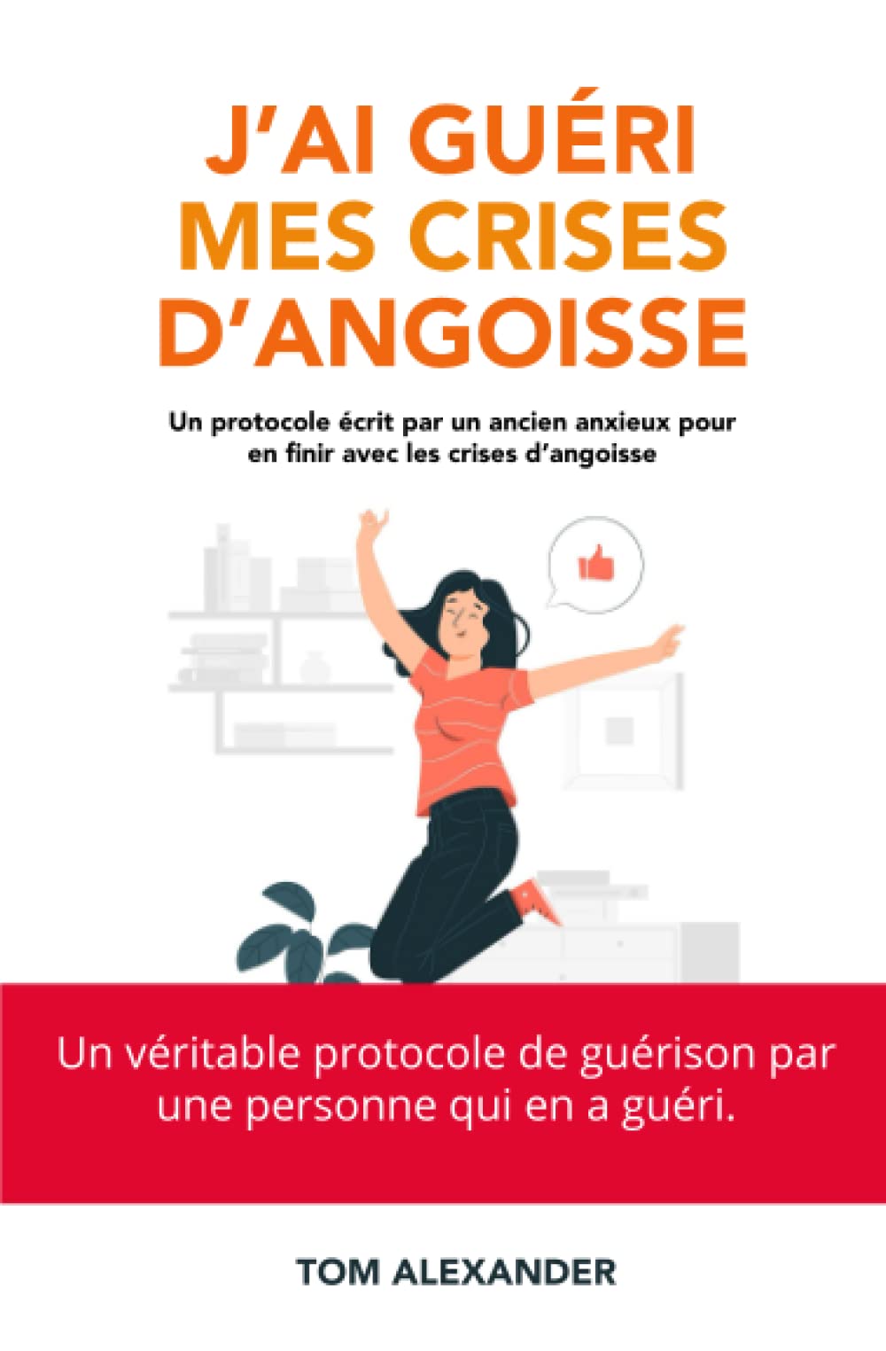 J'ai guéri mes crises d'angoisse: Comment guérir des crises d'angoisse ? book
