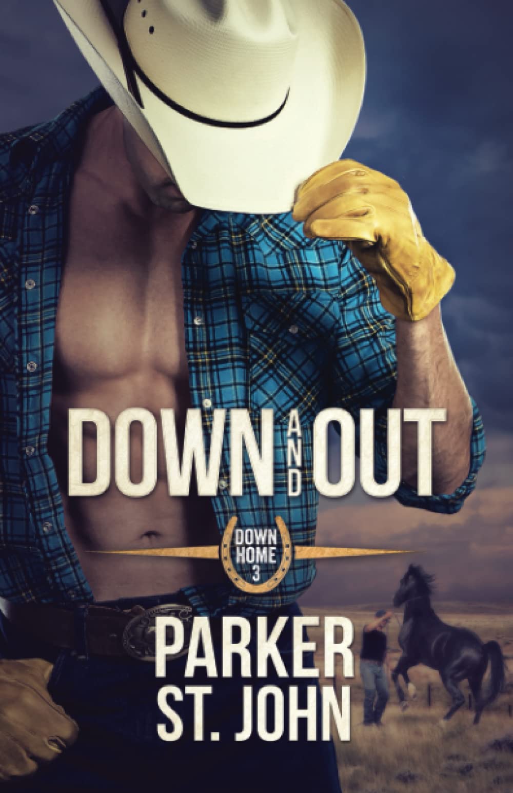 Down and Out: Down Home Book 3 LGBTQ+ Books